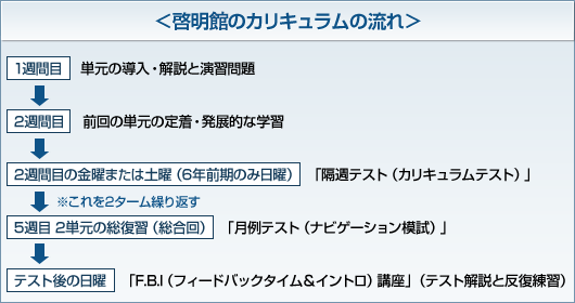 啓明館のカリキュラムの流れ