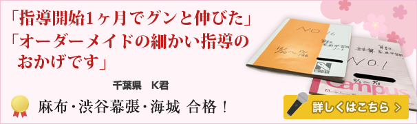 麻布・渋谷幕張・海城合格