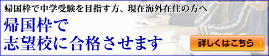 帰国枠についてはこちら