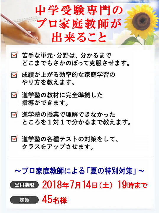 「最後の夏に偏差値を上げる」プロ家庭教師による夏の特別対策