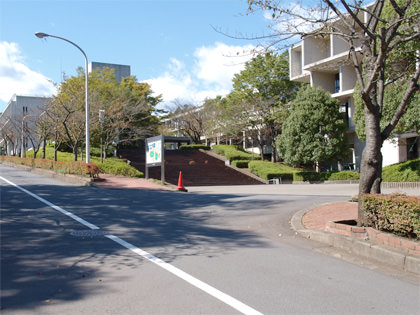 明治大学付属中野八王子中学校