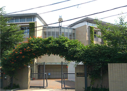 淑徳与野中