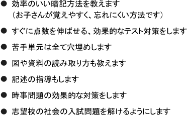 「苦手単元は全て穴埋めします」「必要があれば、基礎の基礎にさかのぼって教え直します」「ケアレスミスをなくします」「正しい途中式の書き方を教えます」「問題を解くスピードを速くします」「お子さんが通う塾の社会のカリキュラムに即した指導をします(SAPIX、日能研、早稲アカ、栄光、市進、四谷大塚、希、啓明舎など)」「模試や実力テストで点数を取れるようにします」「志望校の社会の入試問題を解けるようにします(過去問対策)」
