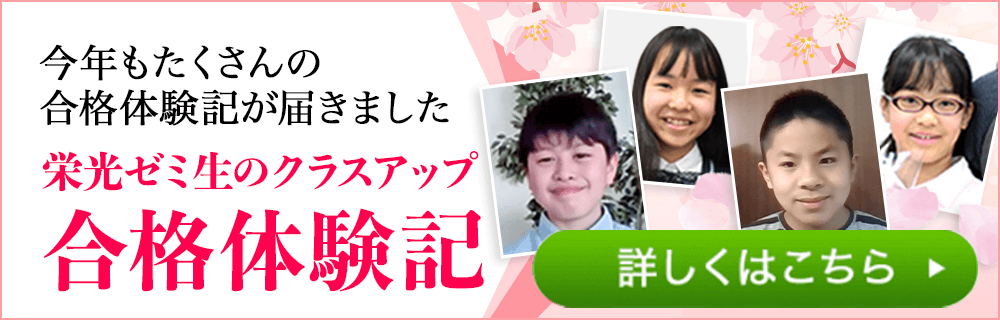 栄光ゼミナール専門対策 中学受験専門プロ家庭教師の一橋セイシン会